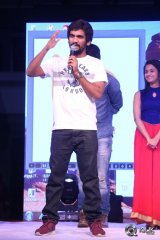 Seethamma Andaalu Raamayya Sithraalu Platinum Disc Function